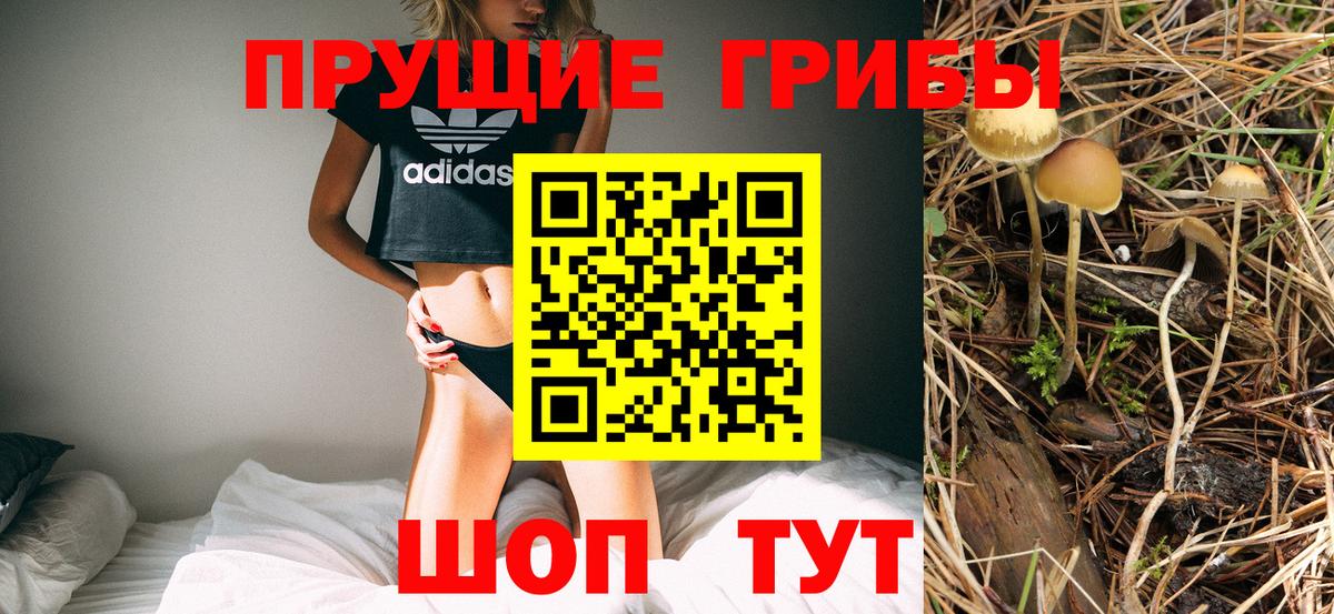 Псилоцибиновые грибы Psilocybe  Вход с VPN  Галлюциногенные грибы прущие грибы  Ленинск-Кузнецкий 