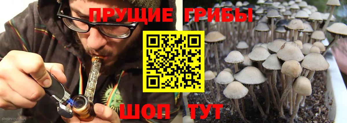 Псилоцибиновые грибы ЛСД Ленинск-Кузнецкий